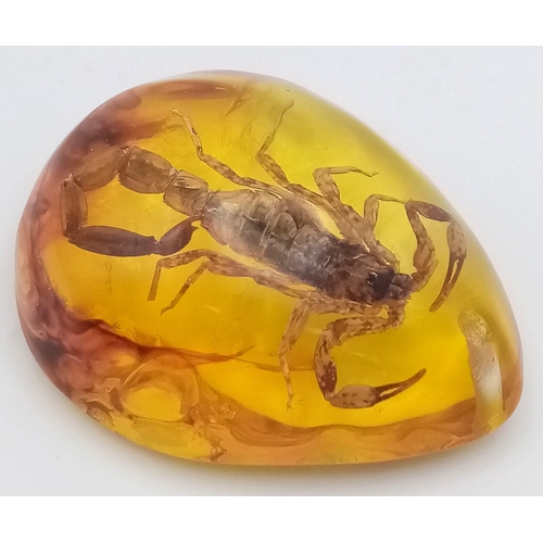 452 - Unfortunately this Scorpion Will Never Feel 'The Winds of Change' - Pendant or Paperweight. 6cm