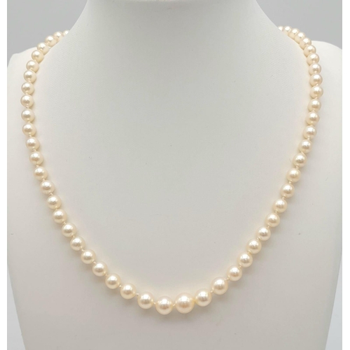 460 - A Vintage Pearl Necklace with a 9K Gold Clasp. Pearls - 5/6mm. Necklace length 24cm.