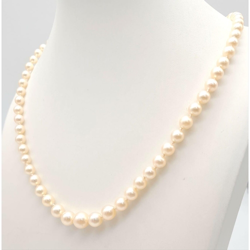 460 - A Vintage Pearl Necklace with a 9K Gold Clasp. Pearls - 5/6mm. Necklace length 24cm.