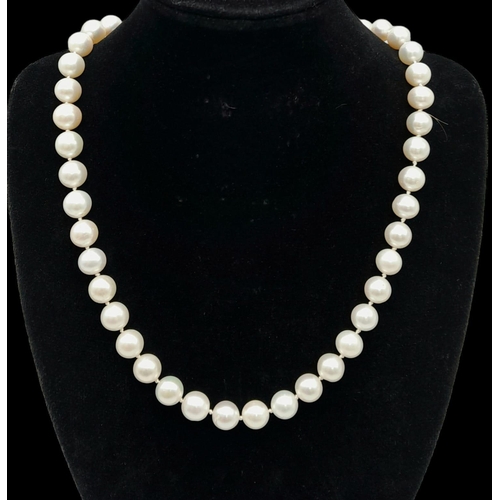 481 - A Natural Pearl Necklace with a 9K Yellow Gold Clasp. Pearls - 7/8mm. necklace length - 44cm.