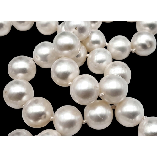 481 - A Natural Pearl Necklace with a 9K Yellow Gold Clasp. Pearls - 7/8mm. necklace length - 44cm.