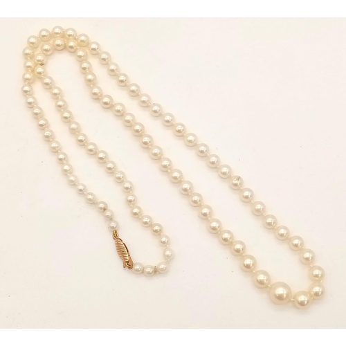 488 - A Graduated Pearl Necklace with a 9K Gold Clasp. Necklace 23cm length.