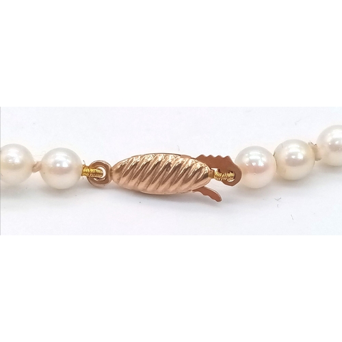 488 - A Graduated Pearl Necklace with a 9K Gold Clasp. Necklace 23cm length.