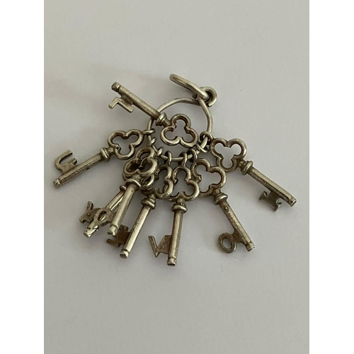 308 - Selection of SILVER BRACELET CHARMS To include bunch of keys, Set of rings, Llama, Hedgehog etc.