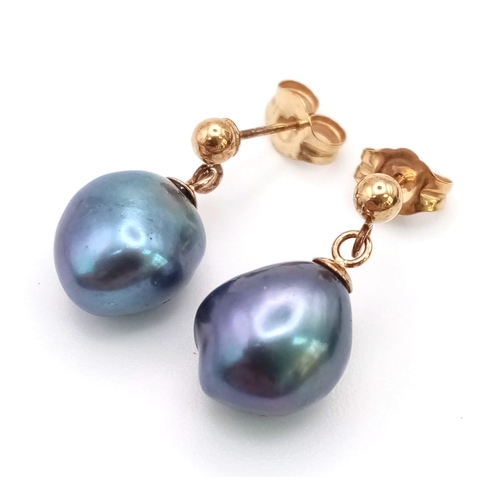 485 - A pair of 9K yellow gold droplet earrings with suspended bluish purple freshwater pearls. Boxed.
Ref... 