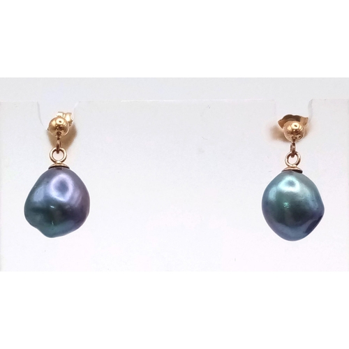 485 - A pair of 9K yellow gold droplet earrings with suspended bluish purple freshwater pearls. Boxed.
Ref... 