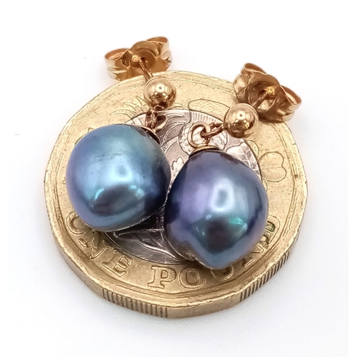 485 - A pair of 9K yellow gold droplet earrings with suspended bluish purple freshwater pearls. Boxed.
Ref... 