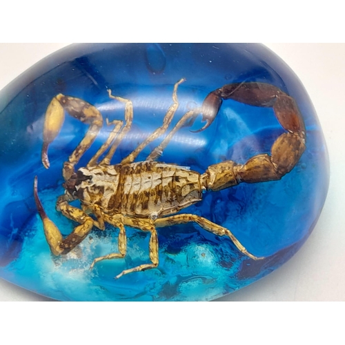 478 - A Scorpion Turns the Air Blue with a Joke About the Actress and a Bishop. Pendant or paperweight. 6c... 