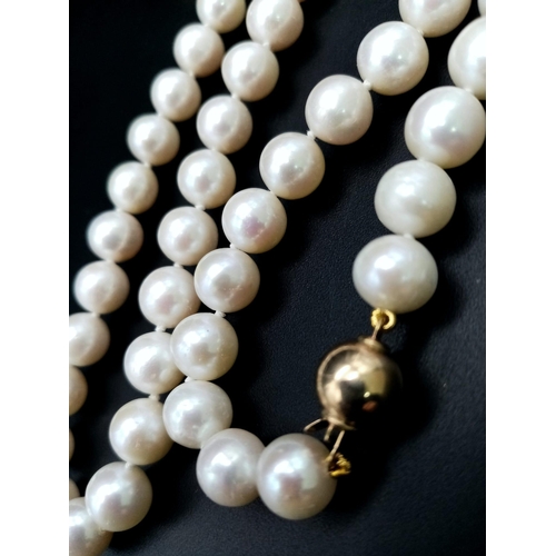 459 - A necklace strung with white cultured freshwater pearls - with a 9k yellow gold ball clasp. 42cm. Re... 