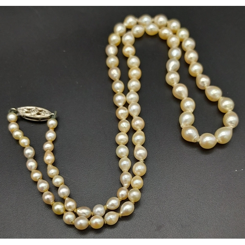 241 - A Vintage Graduated Pearl Necklace with a 9K White Gold Clasp. 44cm.