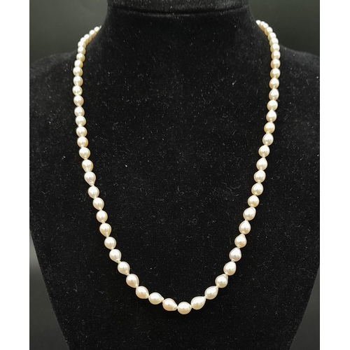 241 - A Vintage Graduated Pearl Necklace with a 9K White Gold Clasp. 44cm.