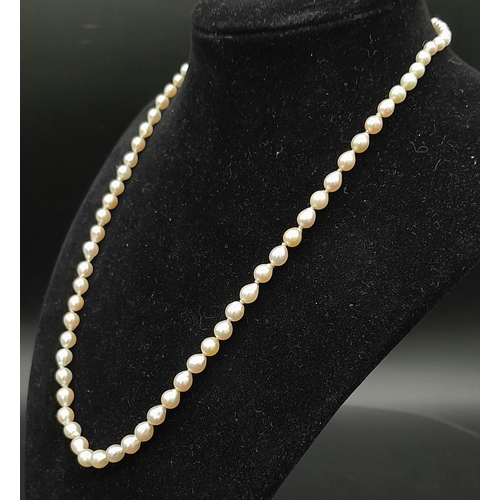 241 - A Vintage Graduated Pearl Necklace with a 9K White Gold Clasp. 44cm.