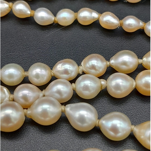 241 - A Vintage Graduated Pearl Necklace with a 9K White Gold Clasp. 44cm.