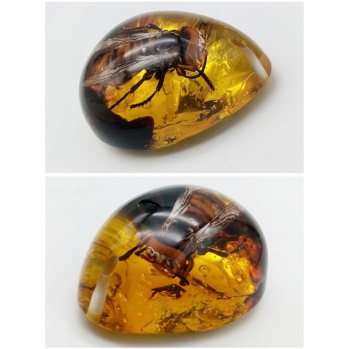 1009 - Here's One Asian Hornet That Won't Be Biting the Head off our Bees. Pendant or paperweight. 6cm