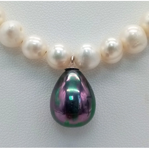 1082 - A Cultured Pearl Necklace With Multi-Coloured Pearl Shell Hanging Tear-Drop. Sterling silver clasp. ... 