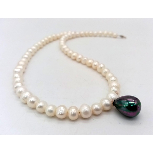 1082 - A Cultured Pearl Necklace With Multi-Coloured Pearl Shell Hanging Tear-Drop. Sterling silver clasp. ... 