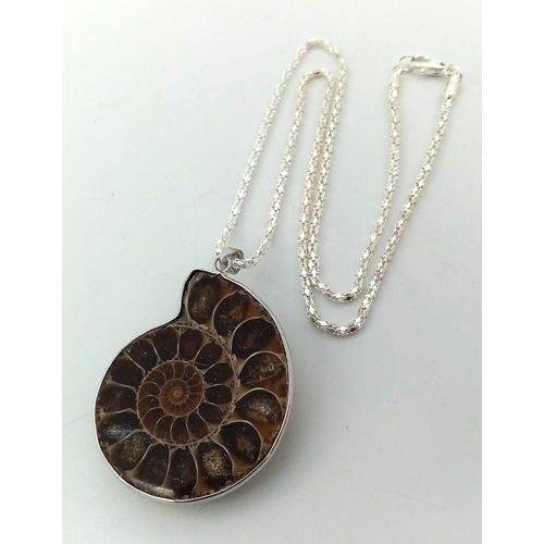 174 - An individualistic AMMONITE pendant with chain, accompanied by a pair of matching earrings. In a pre... 