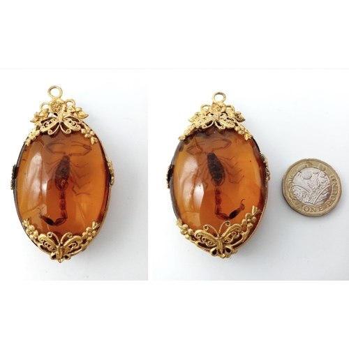 195 - A vintage, amber pendant with a baby scorpion in a gold rolled filigree frame. The item is presented... 