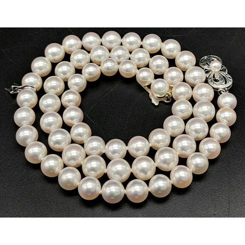 577 - An Elaborate Japanese Mikimoto Akoya Pearl Jewellery Set. A necklace, bracelet and pair of stud earr... 