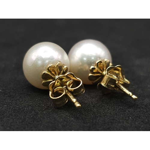 1722 - A Pair of 18K Yellow Gold South Sea Pearl Stud Earrings. 8mm pearls. 4g total weight. Ref: 12667