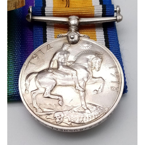 394 - WW1 British Medal Due and Death Plaque to: S/18304 Pte Walter William Bushell 16th Battalion The Rif... 