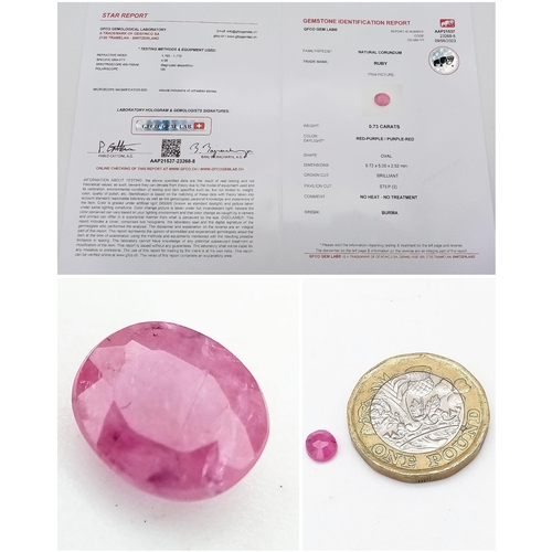 1142 - A Fabulous Selection of Boxed Gemstones! Includes: An Untreated Burma Ruby - 0.73ct with GFCO Swiss ... 