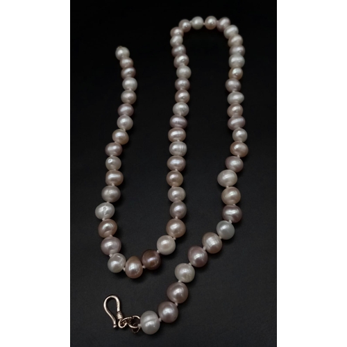 966 - A 44cms STRING OF PEARLS WITH A 14K GOLD CLASP .  34gms