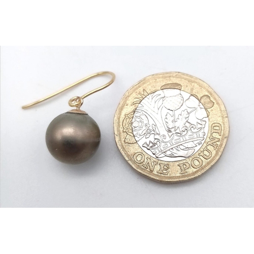 1446 - A Pair of 9K Yellow Gold and Silver South Sea Pearl Earrings.
3.64g total weight.