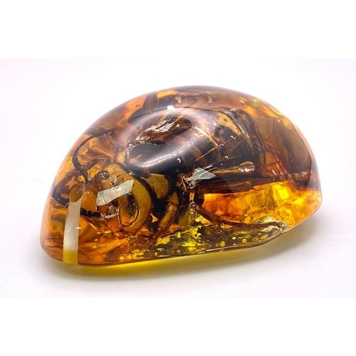 1141 - Direct From a 1970s Michael Caine Film - This Giant Bee Now Resides in Amber Coloured Resin. It was ... 