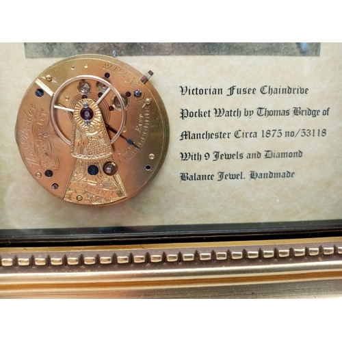 264 - A Horologists, Wonderful and Unique Hand-Made Art-Piece.  A Framed Victorian Fusee Chaindrive Pocket... 