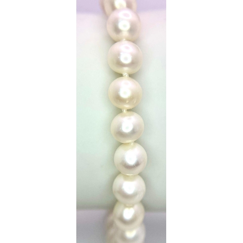 584 - A Creamy White Cultured Pearl Strung Bracelet with a 9K Yellow Gold Ball Clasp. 16cm. Ref: 5969