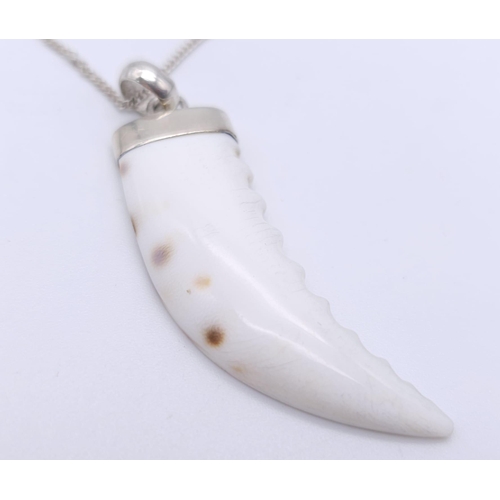 886 - A Vintage Sterling Silver Sharks Tooth Pendant Necklace. 42cm Length Chain. Pendant Measures 5cm Len... 