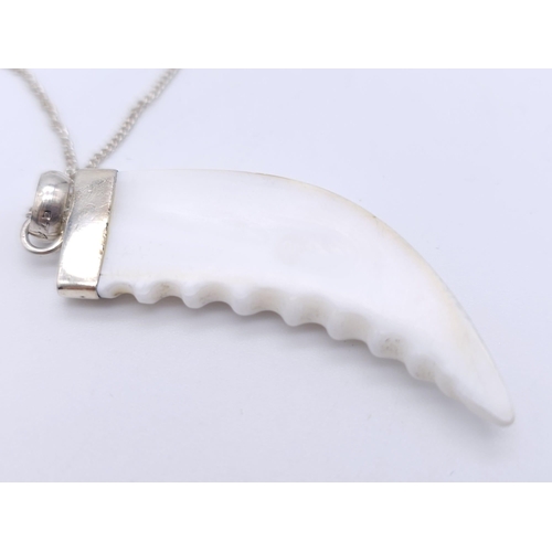 886 - A Vintage Sterling Silver Sharks Tooth Pendant Necklace. 42cm Length Chain. Pendant Measures 5cm Len... 