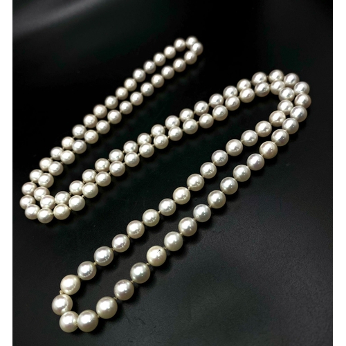 967 - A Cultured Pearl Matinee Length Necklace -78cm. No clasp. 
6/7mm pearls. Ref: 14845