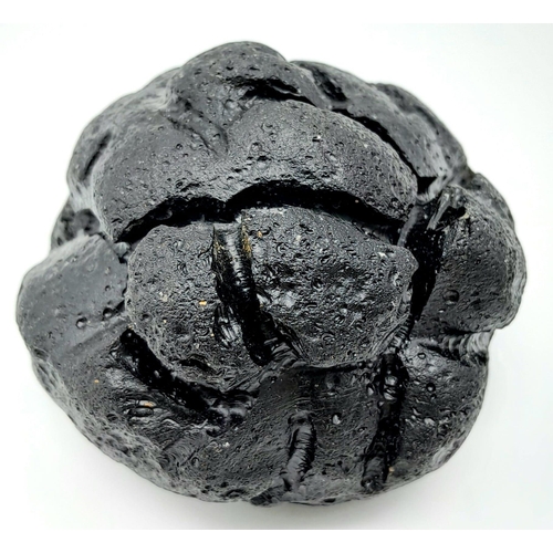 133 - A never seen before in such size, a truly BIG TEKTITE from Philippines. With clearly defined surface... 