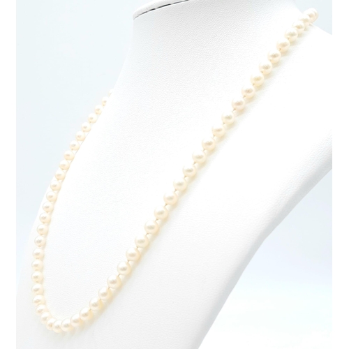 1666 - Beautiful Pearl Necklace with a 9kt Yellow Gold Clasp.
44cm in length and total weight 13.3g.