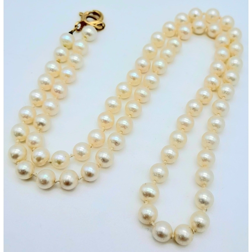 1666 - Beautiful Pearl Necklace with a 9kt Yellow Gold Clasp.
44cm in length and total weight 13.3g.