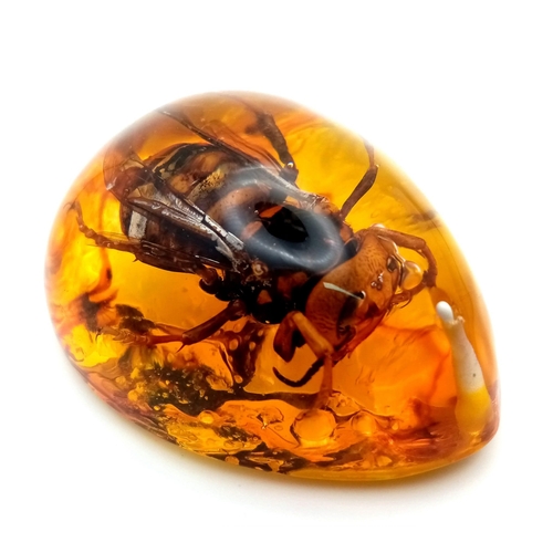 1579 - A Large Asian Hornet in Amber Coloured Resin. Pendant, paperweight or a warning for any wasp that fa... 