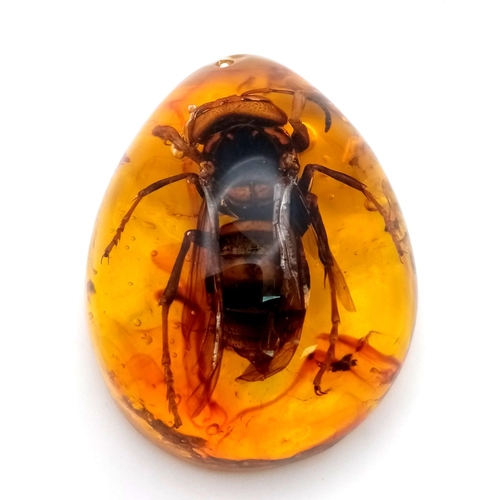 1579 - A Large Asian Hornet in Amber Coloured Resin. Pendant, paperweight or a warning for any wasp that fa... 