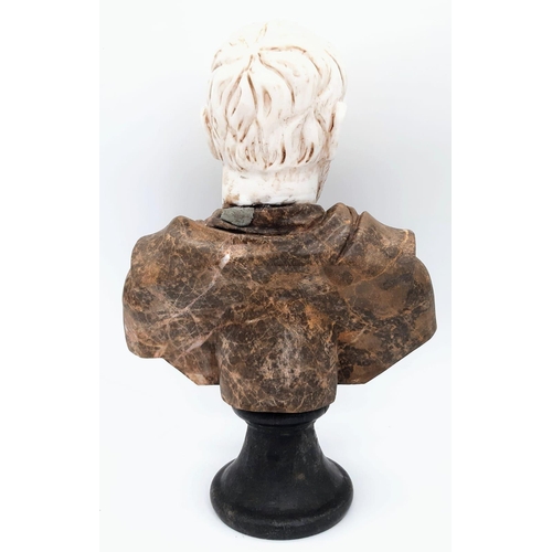 631 - A Marble Bust of Distinct Grandeur. 
A black marble base, leads to a wonderfully selected veiny brow... 