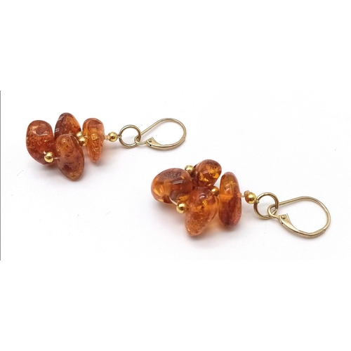 1066 - A Pair of Amber Cluster Earrings set in 9K Gold Earrings. 6g total weight. 3cm drop