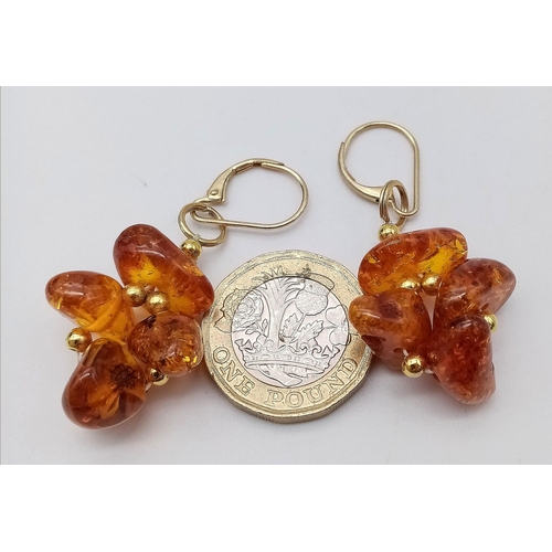 1066 - A Pair of Amber Cluster Earrings set in 9K Gold Earrings. 6g total weight. 3cm drop