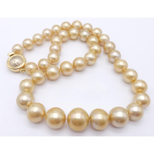 113 - Luxurious Fresh Water Pearl Necklace with an ornate 18kt Yellow Gold Vintage Clasp. 
Measures 44cm i... 