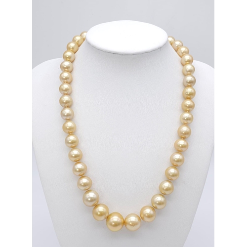 113 - Luxurious Fresh Water Pearl Necklace with an ornate 18kt Yellow Gold Vintage Clasp. 
Measures 44cm i... 