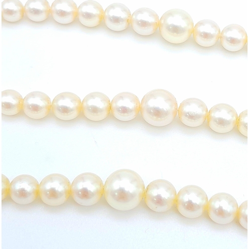 792 - A Vintage Three Row Seed Pearl Choker Necklace with 14k Gold Clasp. 38 - 42cm. 40g total weight. Ref... 