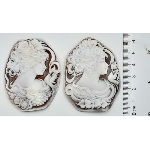 832 - TWO CAMEO SHELLS.
LOVELY DESIGN, 7.5CM x 5.5CM

REF: A/S 7009