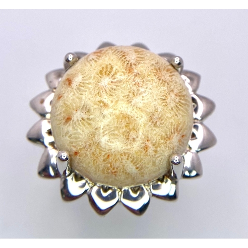 1313 - An Unworn Limited Edition (1 of 106 Worldwide) Fossil Coral Cabochon
Statement Ring Size R. Set with... 