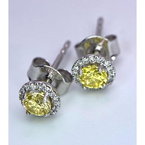 233 - A Pair of 18K White Gold and Vivid Yellow Diamond Stud Earrings. Brilliant round cut diamonds - 0.46... 