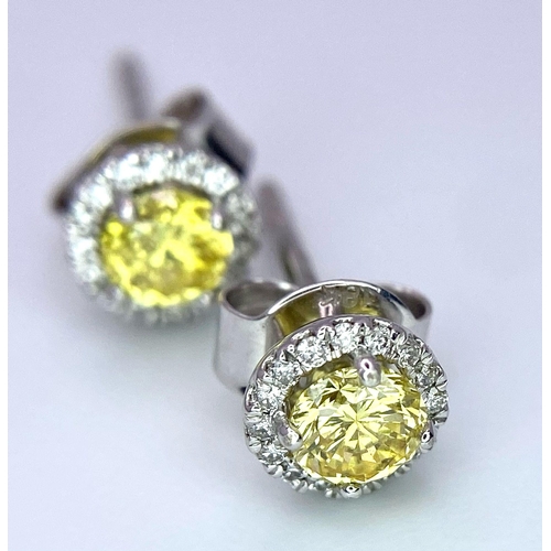 233 - A Pair of 18K White Gold and Vivid Yellow Diamond Stud Earrings. Brilliant round cut diamonds - 0.46... 