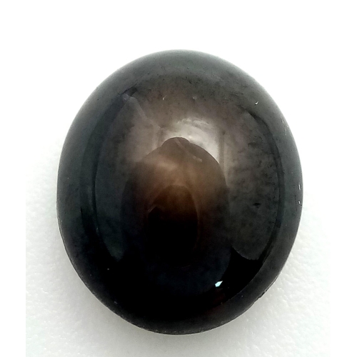 737 - A BLACK STAR SAPPHIRE 3.95CT
ref: 10 - S